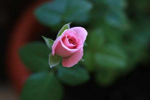 IMG_7014.jpg