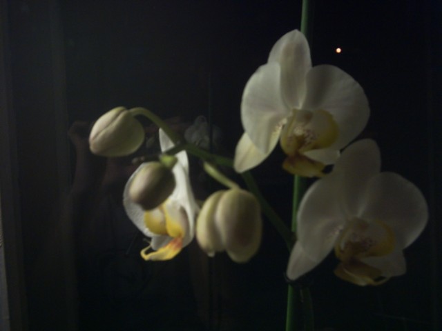 PICT0109.jpg