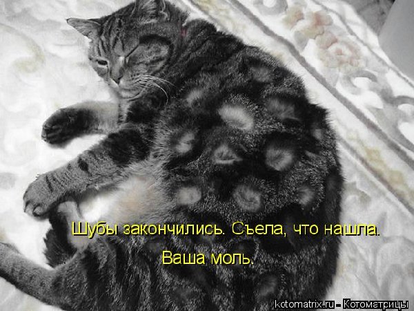 Y5555555555.jpg