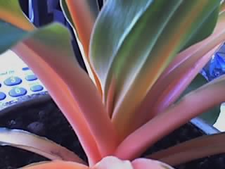 16-05-06_1017.jpg
