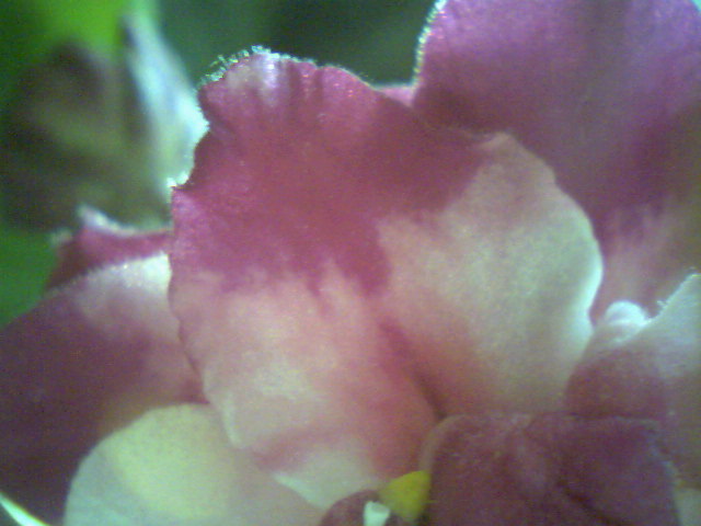 Ph0018.jpg