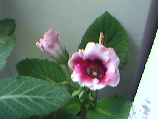 22-05-06_1118.jpg