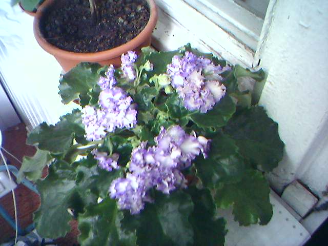 11-05-06_1427.jpg