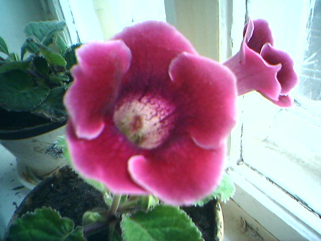 23-05-06_1659.jpg