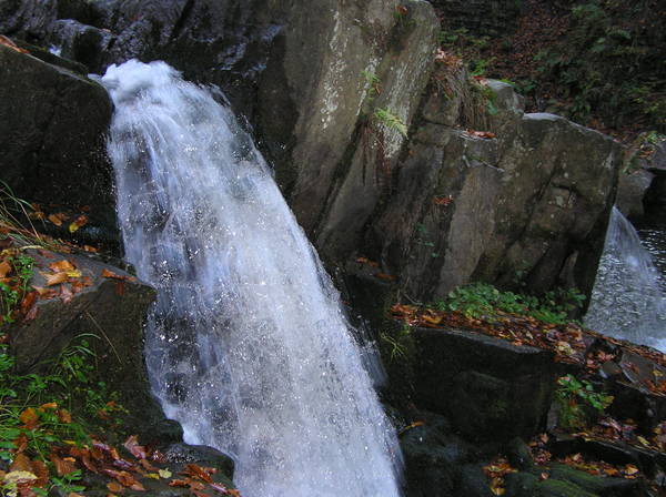 PA110049.JPG