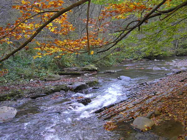 PA110154.JPG