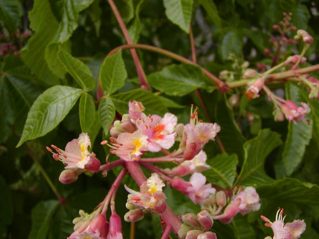 P1010014.JPG