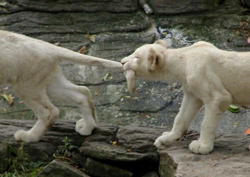 image030.jpg