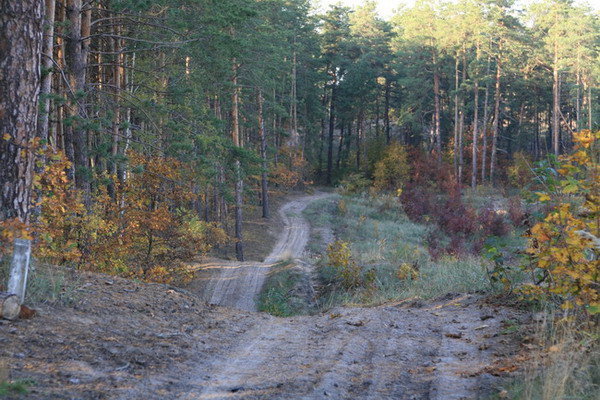 IMG_6485.jpg