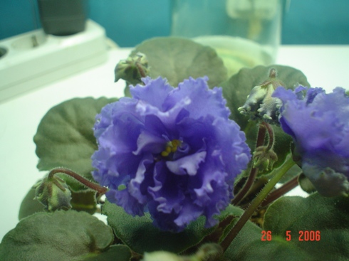 DSC01845.JPG
