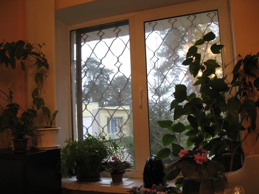04.11. 2008.jpg