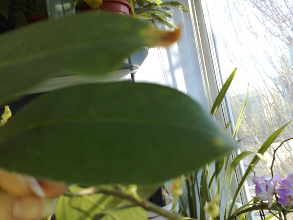 10112008199.jpg