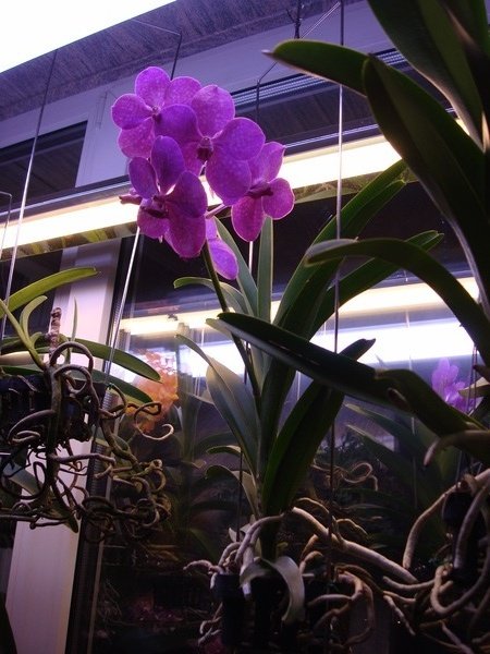DSC08943 ум.JPG
