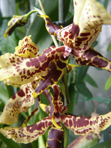 PA040038.jpg