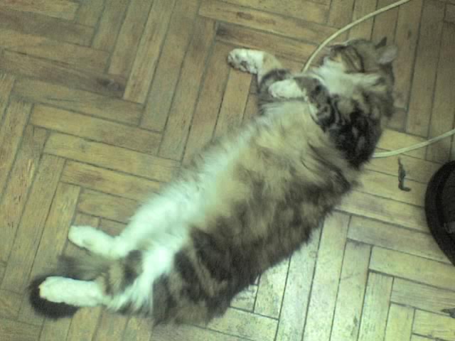 05-06-06_2132.jpg