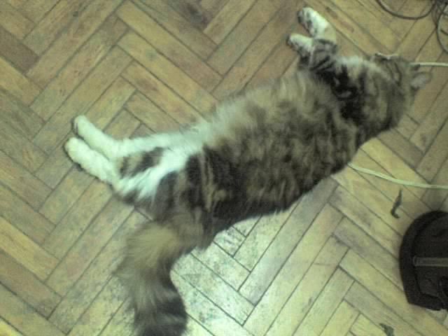 05-06-06_2131.jpg