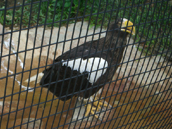 CIMG4044.JPG