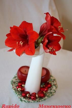 IMG_0590 010109.jpg