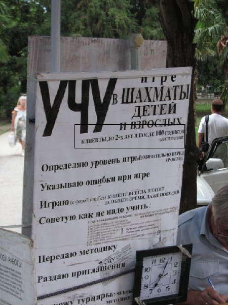 533.jpg