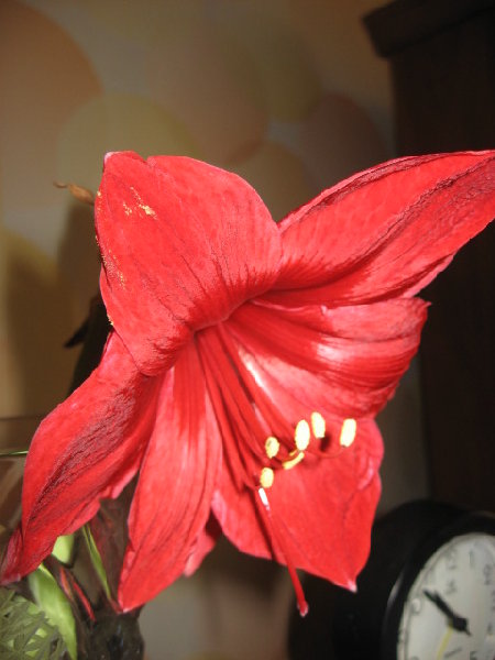 IMG_1332.JPG