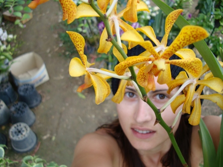 DSC00475_.jpg