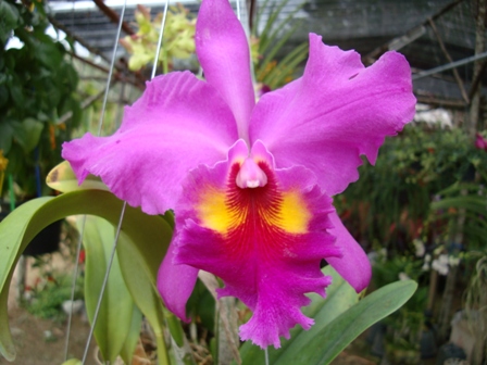 DSC00483_.jpg