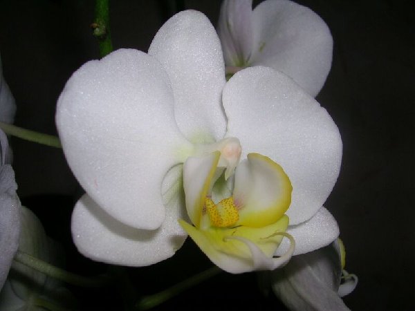 DSCN0183.jpg