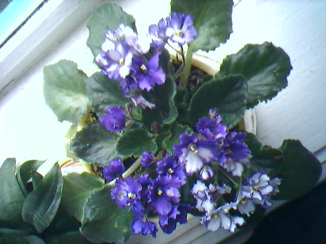 10-06-06_1846.jpg