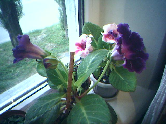 25-05-06_1824.jpg