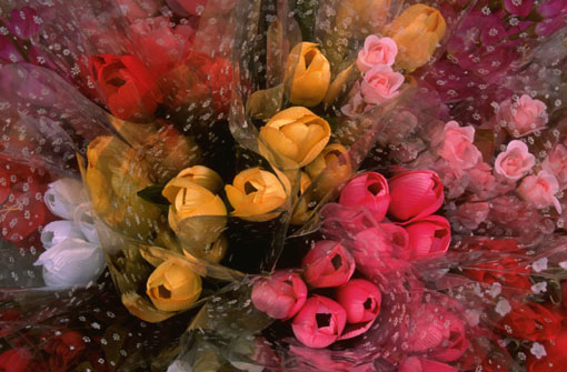flowers3.jpg