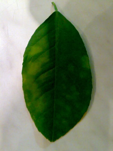 28022009485.jpg