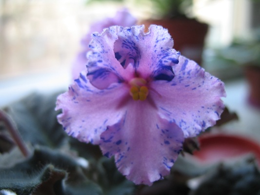 10.03.09 028.jpg