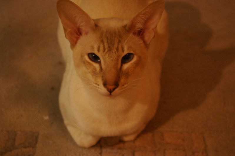 IMGP0118.JPG