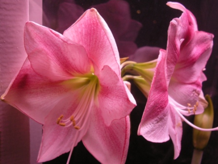 DSCN8490.JPG