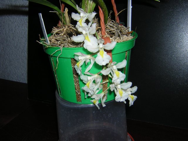 DSCN2896.jpg