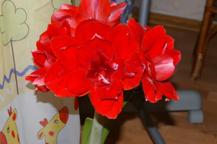 IMGP0227.JPG