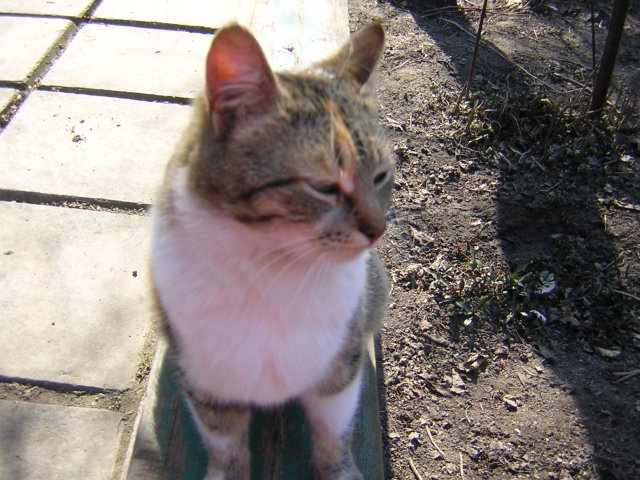 DSCN2947.jpg