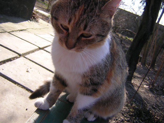 DSCN2950.jpg