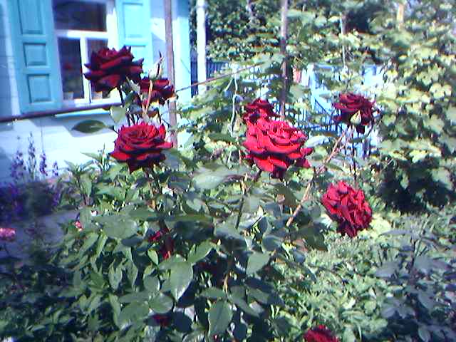 20-06-06_1535.jpg
