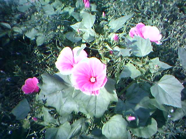 20-06-06_1548.jpg