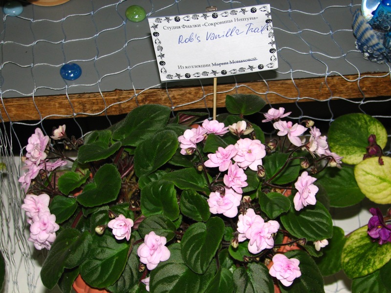 IMG_1700.JPG
