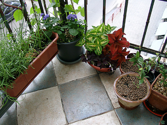 balcony.jpg