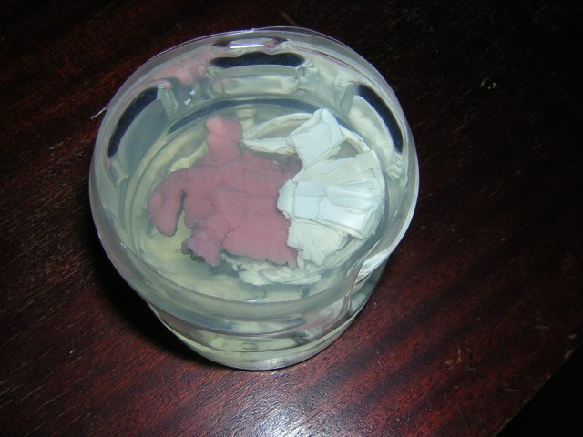 DSCN2981.jpg