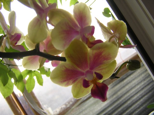 DSCN2993.jpg