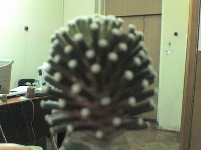 22-06-06_1313.jpg