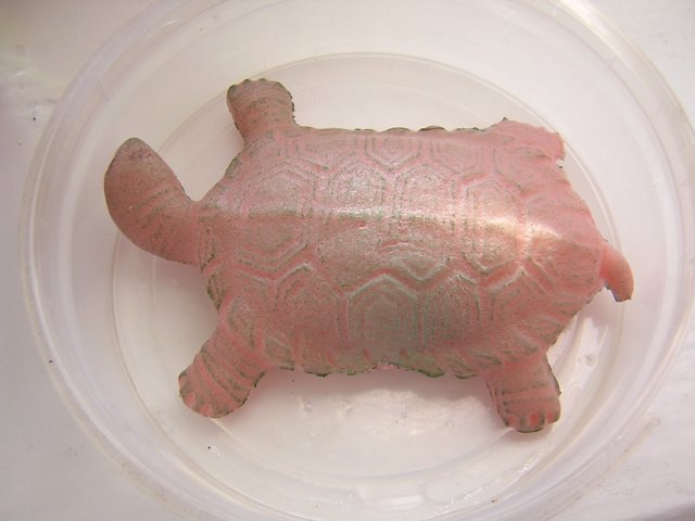 DSCN3023.jpg