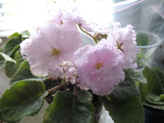 24.04.09 062.jpg