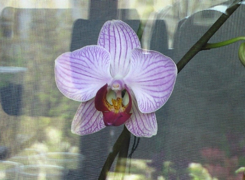 Imga0064.jpg