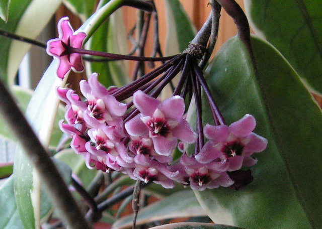 PICT0218.jpg