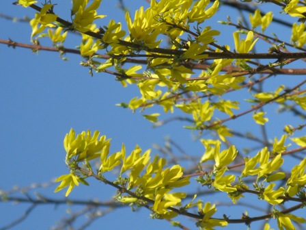 IMG_4653.JPG